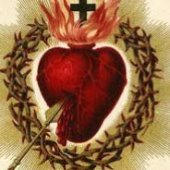 DISCERNING EXCELLENCE