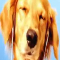 LemonCloud