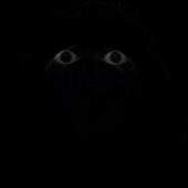 Munci