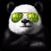 PandAmonium